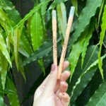 Concealer Stick