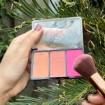 Blush-3 shades